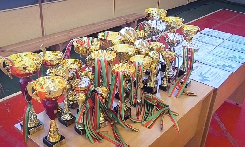 МТЗ победил в зимней спартакиаде Партизанского района Минска - mtz-pobedil-v-zimnej-spartakiade-partizanskogo-rajona-minska-6